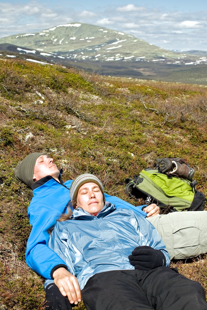 Resting in the alpine heath. Photo: Kentaroo Tryman.