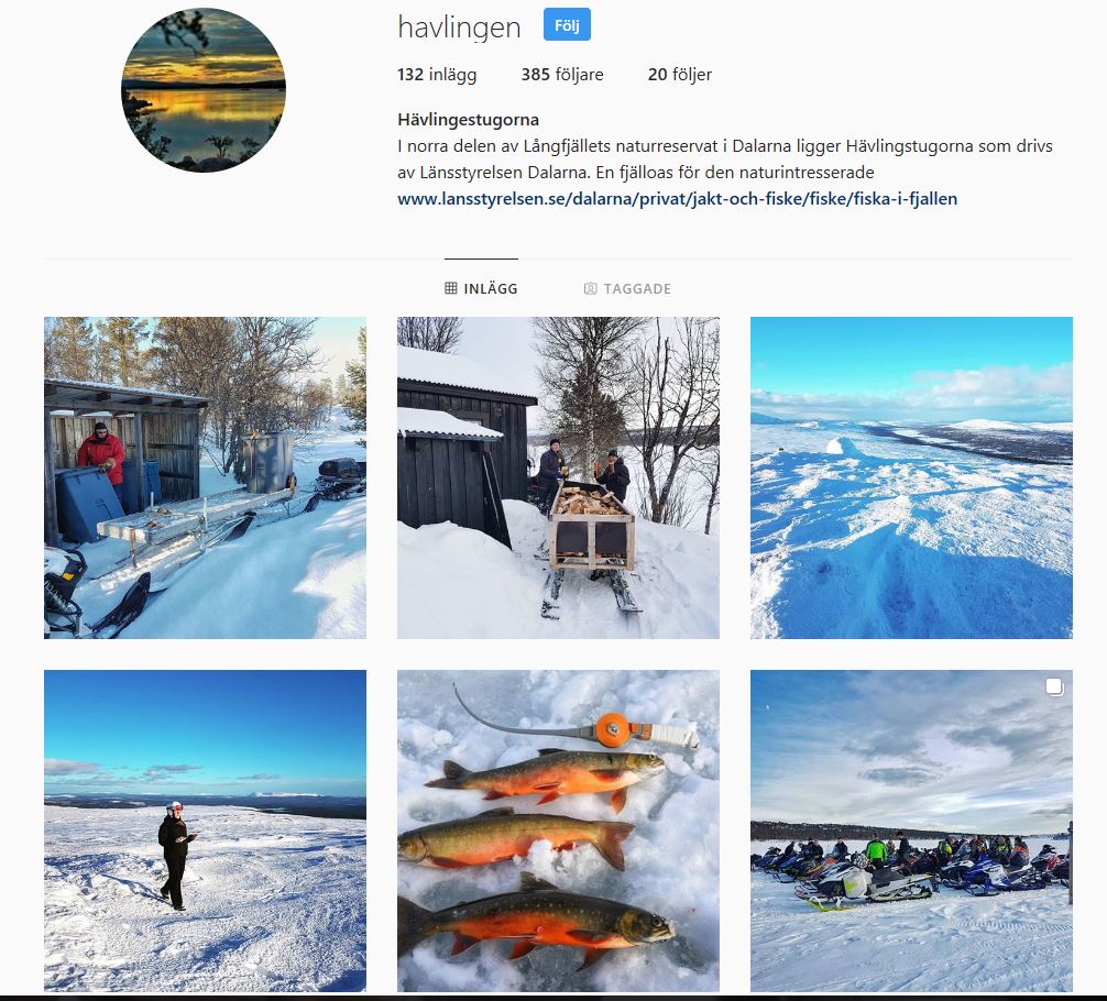 instagram havlingen