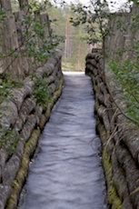 Tømerenne