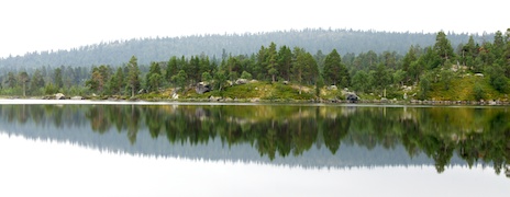 Früher Morgen am See Langtjønna.