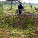 Trapping pit near Lake Tandsjön.