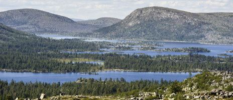 View over the southern part of the nature reserve. Photo: Marcus Elmerstad.